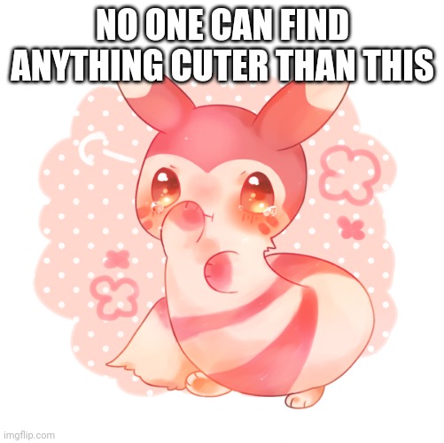 Ferret pokemon | NO ONE CAN FIND ANYTHING CUTER THAN THIS | image tagged in ferret pokemon | made w/ Imgflip meme maker