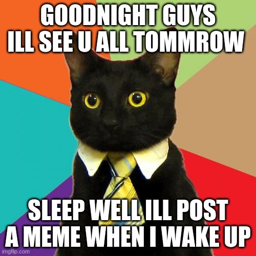 goodnight guys | GOODNIGHT GUYS ILL SEE U ALL TOMMROW; SLEEP WELL ILL POST A MEME WHEN I WAKE UP | image tagged in memes,business cat | made w/ Imgflip meme maker