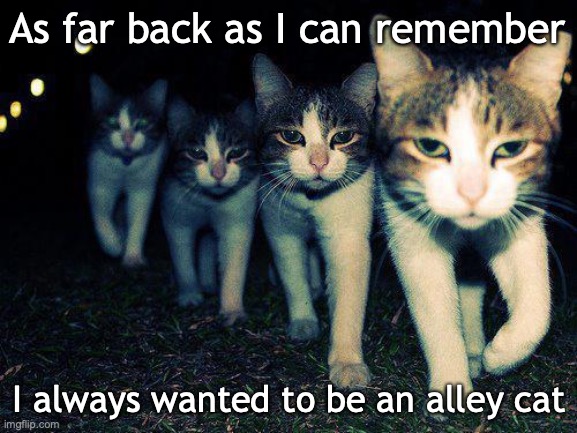 Sum random Goodfellas meme | As far back as I can remember; I always wanted to be an alley cat | image tagged in memes,wrong neighboorhood cats,goodfellas | made w/ Imgflip meme maker