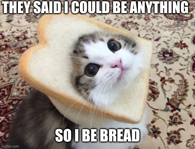 Bread cat | THEY SAID I COULD BE ANYTHING; SO I BE BREAD | image tagged in cat,cute,adorable,bread,they said i could be anything,jackalopianswhereuat | made w/ Imgflip meme maker
