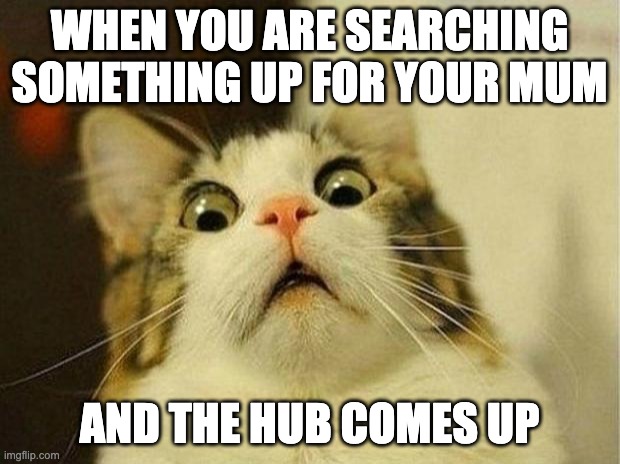 Scared Cat Meme | WHEN YOU ARE SEARCHING SOMETHING UP FOR YOUR MUM; AND THE HUB COMES UP | image tagged in memes,scared cat | made w/ Imgflip meme maker