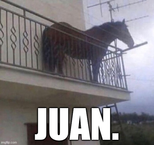 Juan | JUAN. | image tagged in juan | made w/ Imgflip meme maker