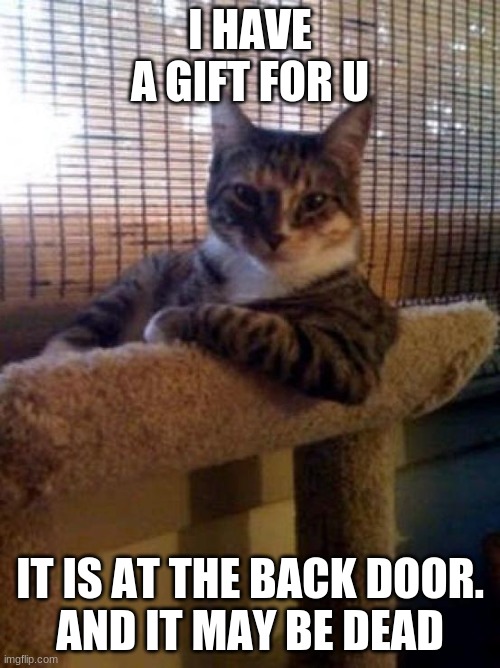 The Most Interesting Cat In The World Meme | I HAVE A GIFT FOR U; IT IS AT THE BACK DOOR.
AND IT MAY BE DEAD | image tagged in memes,the most interesting cat in the world | made w/ Imgflip meme maker