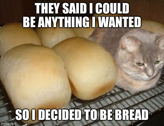 Yet another bread cat :p | THEY SAID I COULD BE ANYTHING I WANTED; SO I DECIDED TO BE BREAD | image tagged in cat,cute,adorable,bread,they said i could be anything,jackalopianswhereuat | made w/ Imgflip meme maker