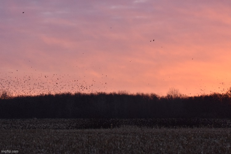 good morning | made w/ Imgflip meme maker