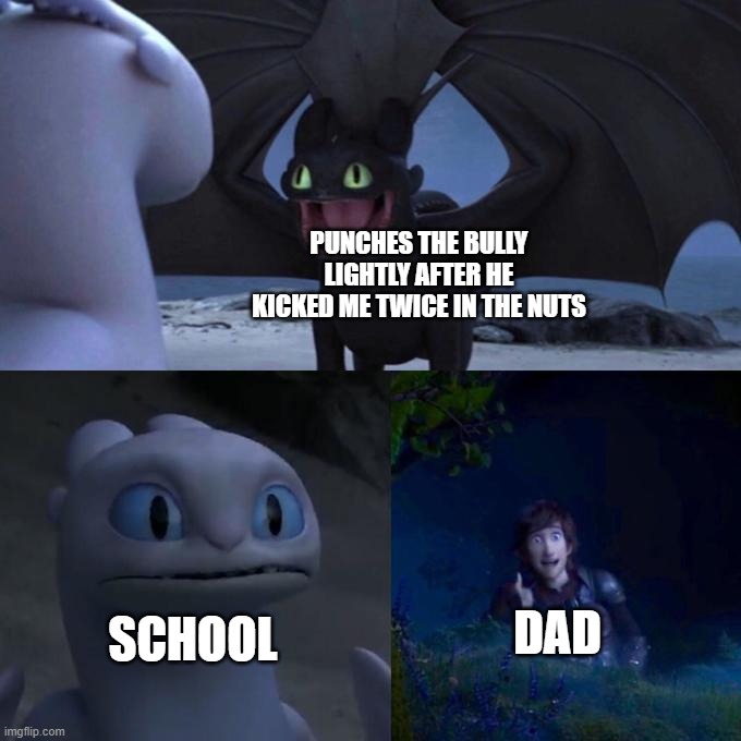 school unfairity | PUNCHES THE BULLY LIGHTLY AFTER HE KICKED ME TWICE IN THE NUTS; DAD; SCHOOL | image tagged in toothless presents himself | made w/ Imgflip meme maker