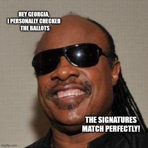 Perfect Match | HEY GEORGIA, 
I PERSONALLY CHECKED 
 THE BALLOTS; THE SIGNATURES MATCH PERFECTLY! | image tagged in election 2020 | made w/ Imgflip meme maker