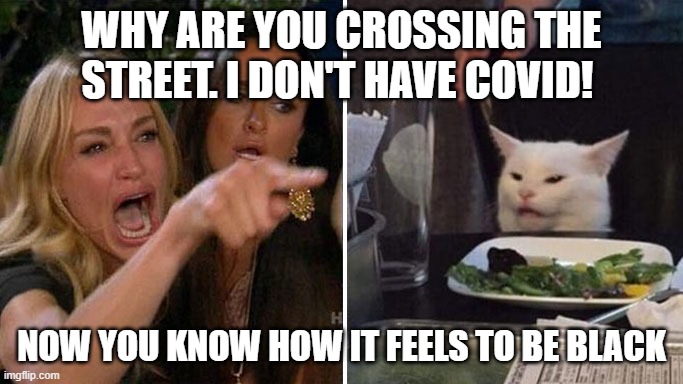 Streets aint safe | WHY ARE YOU CROSSING THE STREET. I DON'T HAVE COVID! NOW YOU KNOW HOW IT FEELS TO BE BLACK | image tagged in angry lady cat | made w/ Imgflip meme maker
