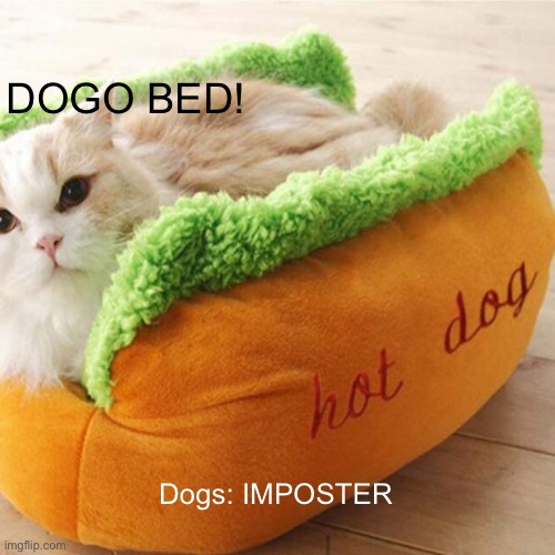 Sorry i couldn’t help myself (Itzz another cat meme) | DOGO BED! Dogs: IMPOSTER | image tagged in cat,dogbed,cute,adorable,jackalopianswhereuat,among us reference | made w/ Imgflip meme maker