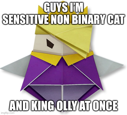 GUYS I’M SENSITIVE NON BINARY CAT; AND KING OLLY AT ONCE | image tagged in olly is hot | made w/ Imgflip meme maker