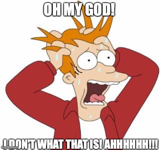 Fry forgot a concept. | OH MY GOD! I DON'T WHAT THAT IS! AHHHHHH!!! | image tagged in fry freaking out,i forgot,freaking out,futurama fry,memes,reactions | made w/ Imgflip meme maker