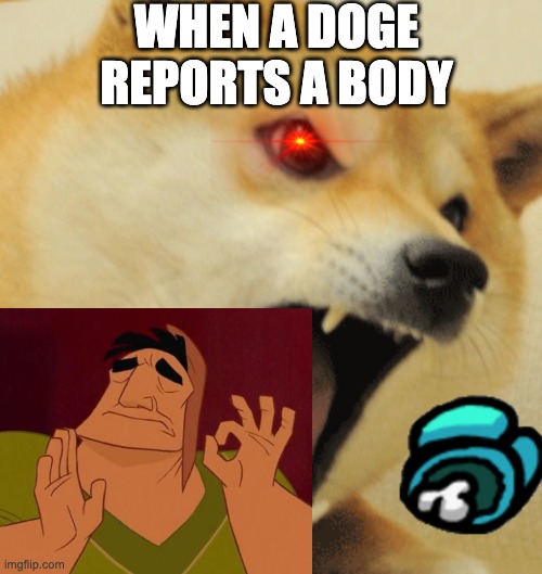 WHEN A DOGE REPORTS A BODY | image tagged in doge,angry,eye,dead body reported | made w/ Imgflip meme maker