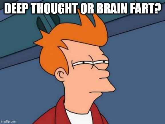 Futurama Fry Meme | DEEP THOUGHT OR BRAIN FART? | image tagged in memes,futurama fry | made w/ Imgflip meme maker