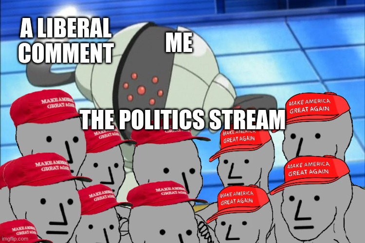 A LIBERAL COMMENT; ME; THE POLITICS STREAM | made w/ Imgflip meme maker