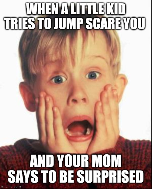Home Alone Kid  | WHEN A LITTLE KID TRIES TO JUMP SCARE YOU; AND YOUR MOM SAYS TO BE SURPRISED | image tagged in home alone kid | made w/ Imgflip meme maker