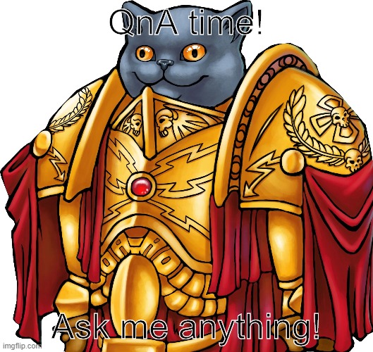 Kitten the Captain General | QnA time! Ask me anything! | image tagged in kitten the captain general | made w/ Imgflip meme maker