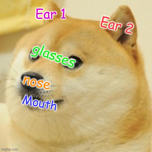 just incase you didnt know | Ear 1; Ear 2; glasses; nose; Mouth | image tagged in memes,doge | made w/ Imgflip meme maker