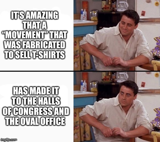 Comprehending Joey | IT’S AMAZING THAT A “MOVEMENT” THAT WAS FABRICATED TO SELL T-SHIRTS HAS MADE IT TO THE HALLS OF CONGRESS AND THE OVAL OFFICE | image tagged in comprehending joey | made w/ Imgflip meme maker