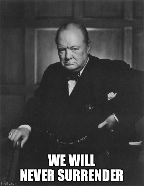 winston churchill | WE WILL NEVER SURRENDER | image tagged in winston churchill | made w/ Imgflip meme maker