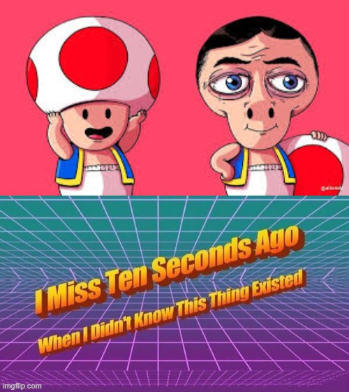 whyyy | image tagged in i miss ten seconds ago | made w/ Imgflip meme maker