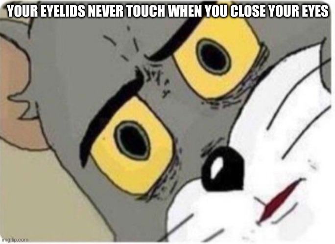 Tom and Jerry meme | YOUR EYELIDS NEVER TOUCH WHEN YOU CLOSE YOUR EYES | image tagged in tom and jerry meme | made w/ Imgflip meme maker