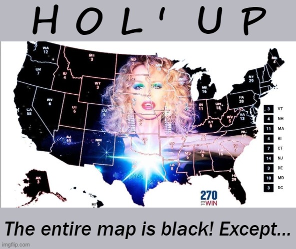 Kylie USA map | H O L '  U P The entire map is black! Except... | image tagged in kylie usa map | made w/ Imgflip meme maker