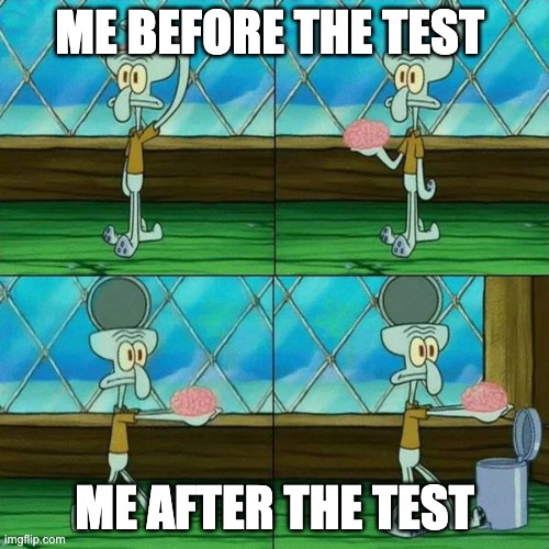 Squidward Brain Trashcan | ME BEFORE THE TEST; ME AFTER THE TEST | image tagged in squidward brain trashcan | made w/ Imgflip meme maker