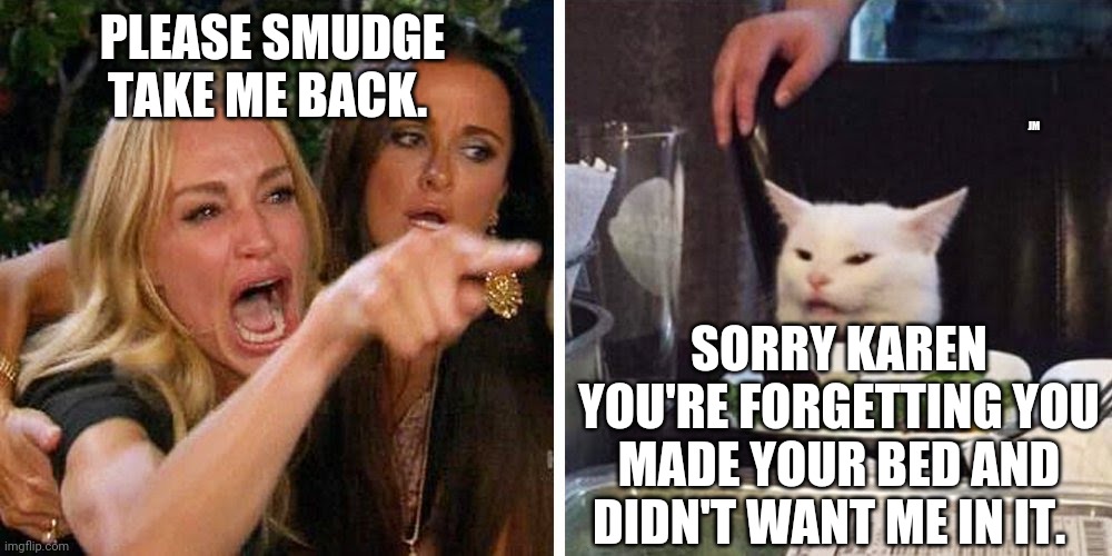 Smudge the cat | PLEASE SMUDGE TAKE ME BACK. JM; SORRY KAREN YOU'RE FORGETTING YOU MADE YOUR BED AND DIDN'T WANT ME IN IT. | image tagged in smudge the cat | made w/ Imgflip meme maker