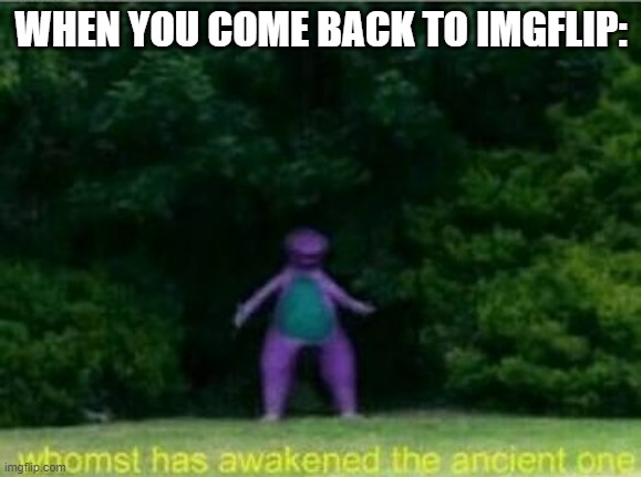 Whomst has awakened the ancient one | WHEN YOU COME BACK TO IMGFLIP: | image tagged in whomst has awakened the ancient one | made w/ Imgflip meme maker