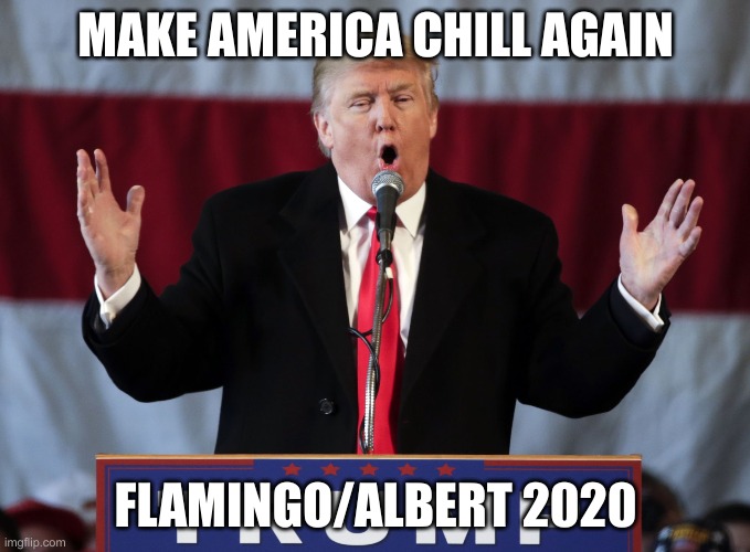 make america chill again | MAKE AMERICA CHILL AGAIN; FLAMINGO/ALBERT 2020 | image tagged in make america great again | made w/ Imgflip meme maker