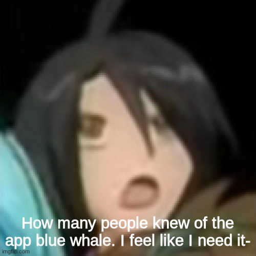 Shun Kazami | How many people knew of the app blue whale. I feel like I need it- | image tagged in shun kazami | made w/ Imgflip meme maker