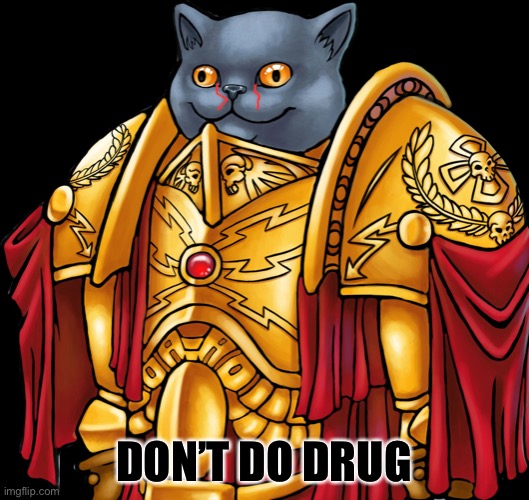 Kitten the Captain General | DON’T DO DRUG | image tagged in kitten the captain general,drugs | made w/ Imgflip meme maker
