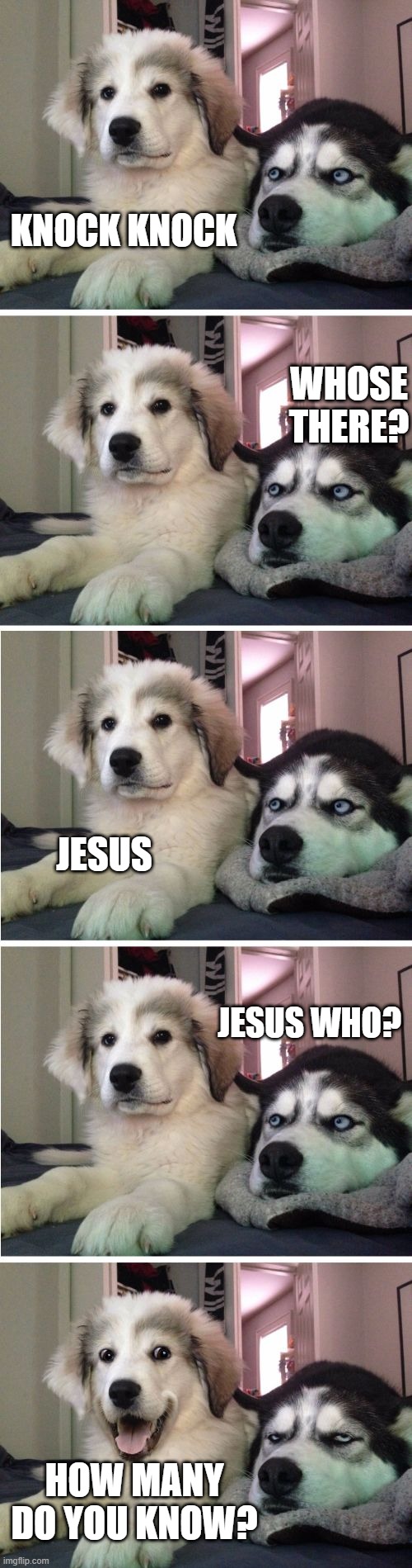 Knock Knock Dogs | KNOCK KNOCK; WHOSE THERE? JESUS; JESUS WHO? HOW MANY DO YOU KNOW? | image tagged in knock knock dogs | made w/ Imgflip meme maker