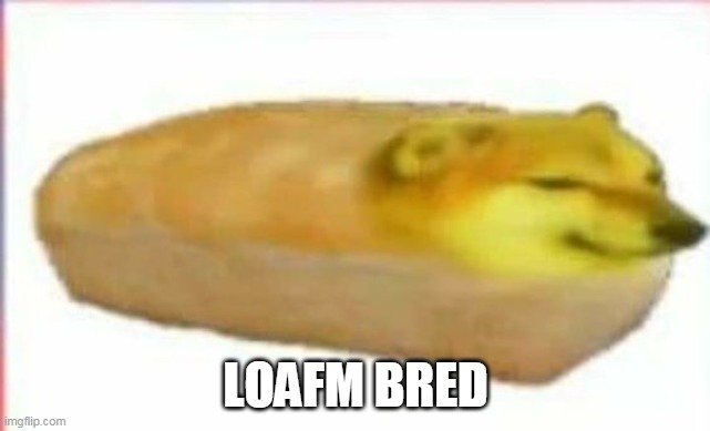 LOAFM BRED | image tagged in bread | made w/ Imgflip meme maker