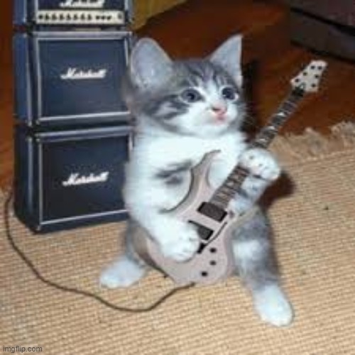 Rockstar cat - Imgflip