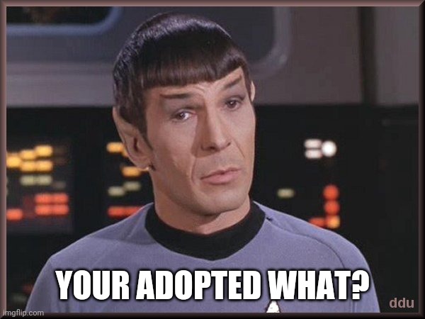 Quizzical Spock | YOUR ADOPTED WHAT? | image tagged in quizzical spock | made w/ Imgflip meme maker