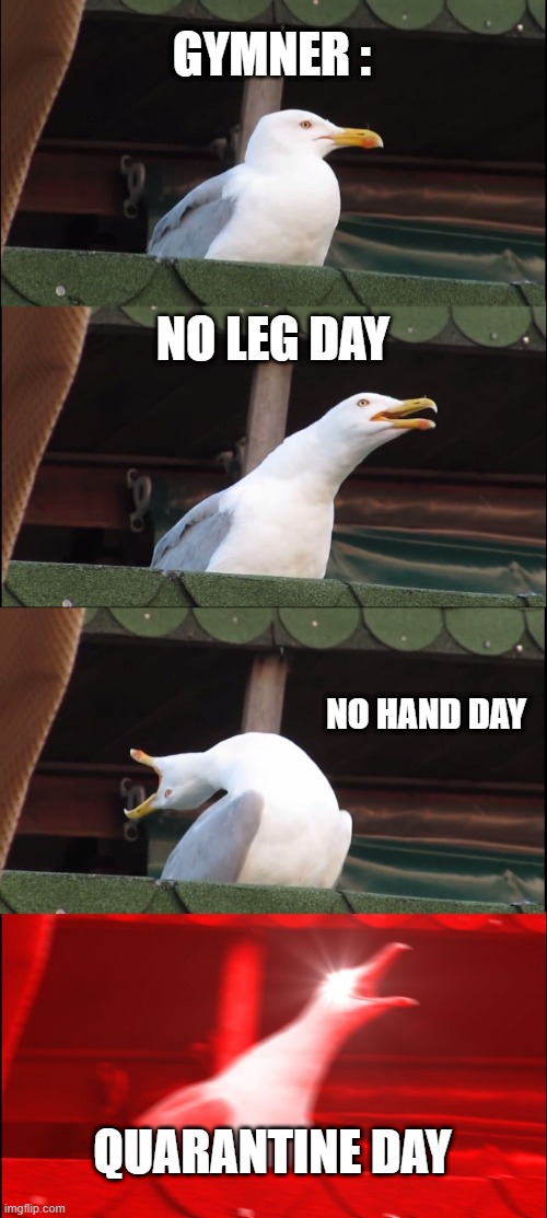 Inhaling Seagull | GYMNER :; NO LEG DAY; NO HAND DAY; QUARANTINE DAY | image tagged in memes,inhaling seagull | made w/ Imgflip meme maker