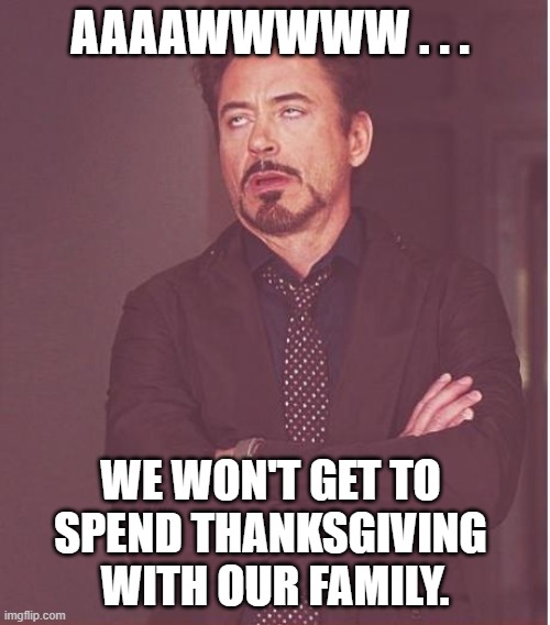 Face You Make Robert Downey Jr | AAAAWWWWW . . . WE WON'T GET TO 
SPEND THANKSGIVING 
WITH OUR FAMILY. | image tagged in memes,face you make robert downey jr | made w/ Imgflip meme maker