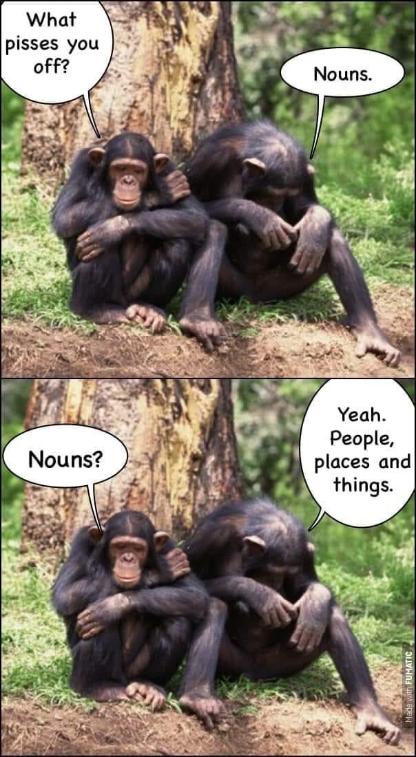 Funny monkeys Blank Meme Template