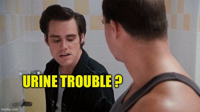 ace ventura urinal | URINE TROUBLE ? | image tagged in ace ventura urinal | made w/ Imgflip meme maker