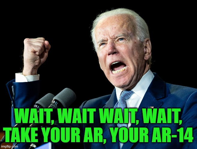 Joe Biden's fist | WAIT, WAIT WAIT, WAIT, TAKE YOUR AR, YOUR AR-14 | image tagged in joe biden's fist | made w/ Imgflip meme maker