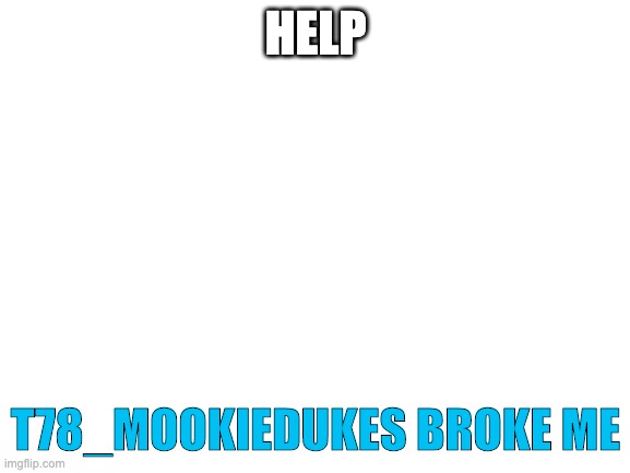 Blank White Template | HELP; T78_MOOKIEDUKES BROKE ME | image tagged in blank white template | made w/ Imgflip meme maker