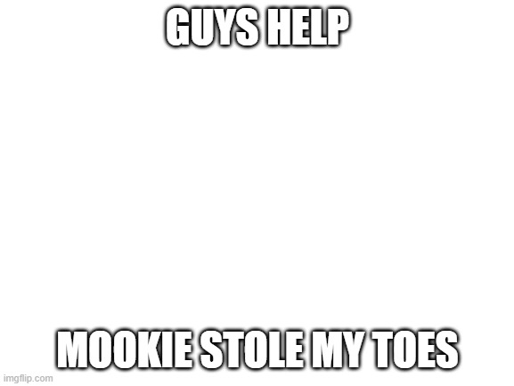 Blank White Template | GUYS HELP; MOOKIE STOLE MY TOES | image tagged in blank white template | made w/ Imgflip meme maker