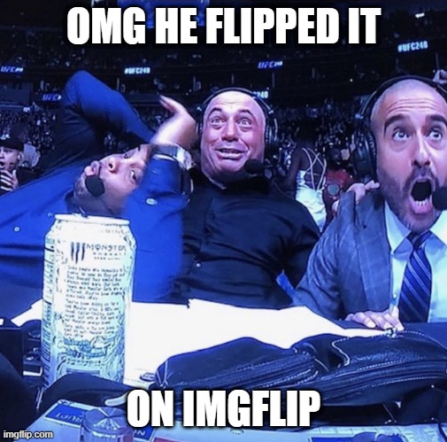 UFC flip out | OMG HE FLIPPED IT ON IMGFLIP | image tagged in ufc flip out | made w/ Imgflip meme maker