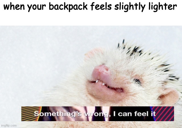 o sparkle | when your backpack feels slightly lighter | image tagged in awkward smile hedgehog | made w/ Imgflip meme maker