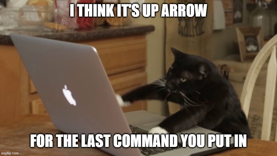 Furiously Typing Cat | I THINK IT'S UP ARROW FOR THE LAST COMMAND YOU PUT IN | image tagged in furiously typing cat | made w/ Imgflip meme maker