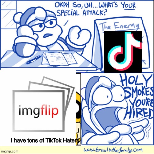 TikTok Sucks (REUPLOADED since someone didn't understand the meme) | I have tons of TikTok Haters | image tagged in holy smokes you're hired,tiktok,sucks,imgflip,rules,oh wow are you actually reading these tags | made w/ Imgflip meme maker
