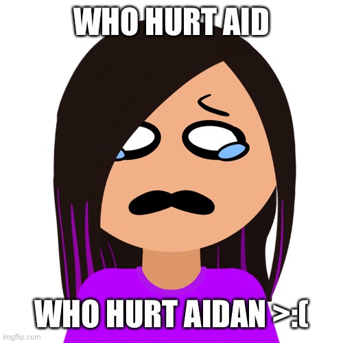 Who hurt Aidan >:( | WHO HURT AID; WHO HURT AIDAN >:( | image tagged in zukeironpa | made w/ Imgflip meme maker