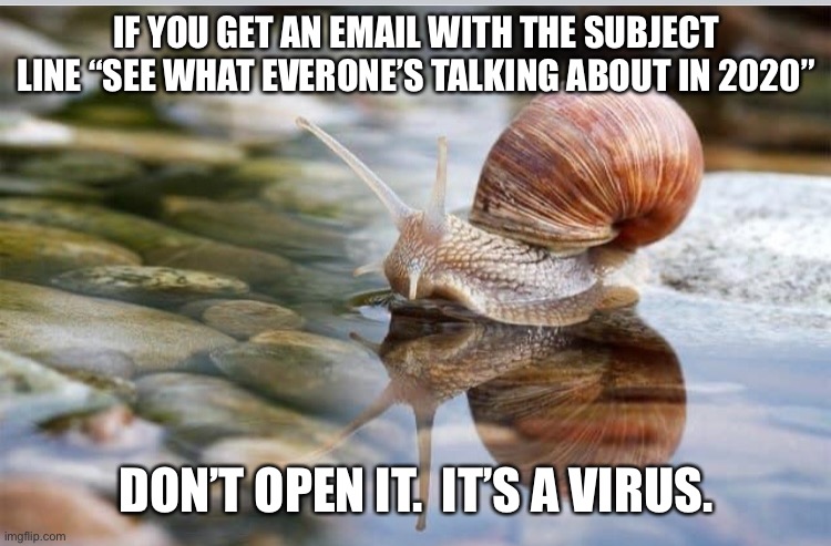 Snail Mail is Safer | IF YOU GET AN EMAIL WITH THE SUBJECT LINE “SEE WHAT EVERONE’S TALKING ABOUT IN 2020”; DON’T OPEN IT.  IT’S A VIRUS. | image tagged in snail | made w/ Imgflip meme maker