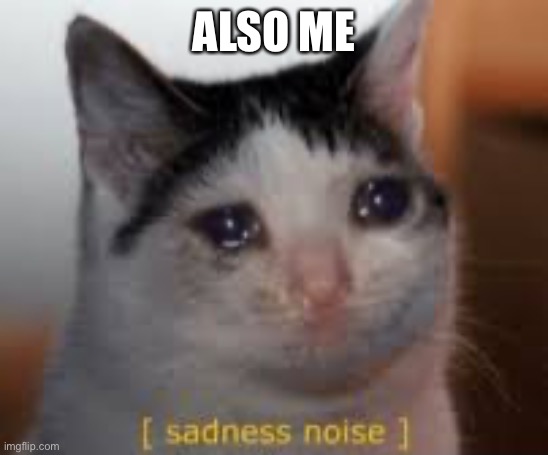 Sadness noises | ALSO ME | image tagged in sadness noises | made w/ Imgflip meme maker